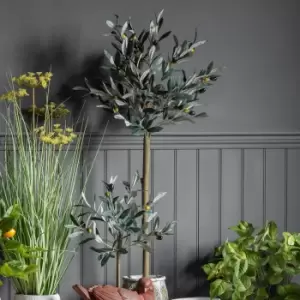 Image of Hurst Tree Medium Green