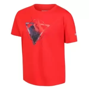 Image of Regatta Alvarado VI T-Shirt - Red