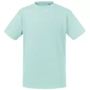 Image of Russell Kids/Childrens Pure Organic T-Shirt (11-12 Years) (Aqua)