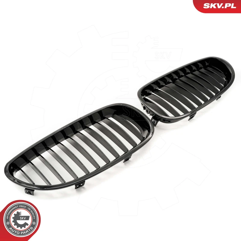 Image of ESEN SKV Radiator Grille ESEN SKV 66SKV165