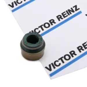 Image of REINZ Valve Stem Seals 70-26058-00 Valve Stem Oil Seals,Valve Seals VW,AUDI,MERCEDES-BENZ,Golf IV Schragheck (1J1),Golf V Schragheck (1K1),POLO (9N_)