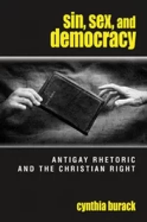 Image of sin sex and democracy antigay rhetoric and the christian right