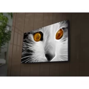Image of 4570?ACT-70 Multicolor Decorative LED Lighted Canvas Painting