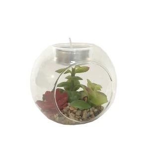 image of Succulent In Glass Terrarium with TeaLight Holder