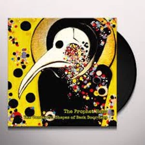 Image of The Prophet Hens - The Wonderful Shapes Of Back Door Keys Vinyl