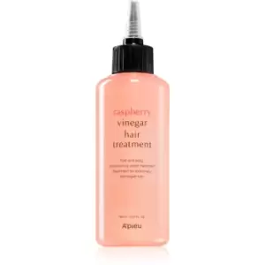 image of A'pieu Raspberry Vinegar Intense Concentrated Treatment For Damaged And Fragile Hair 165 ml