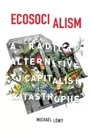Image of ecosocialism a radical alternative to capitalist catastrophe