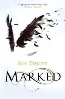 Image of Marked : the first in the magical The Soulseer Chronicles