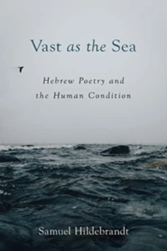 Image of Vast as the Sea : Hebrew Poetry and the Human Condition Paperback / softback
