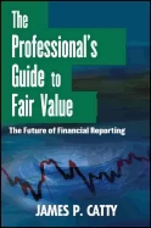 Image of professionals guide to fair value the future of financial reporting
