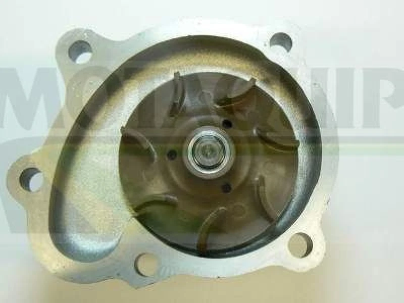 Image of MOTAQUIP Water pump MOTAQUIP VWP835