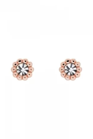 Image of Ted Baker Perella Crystal Nano Stud Earring TBJ2802-24-02