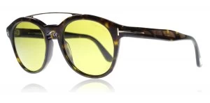 image of Tom Ford Newman Sunglasses Shiny Gradient Havana 52N 53mm