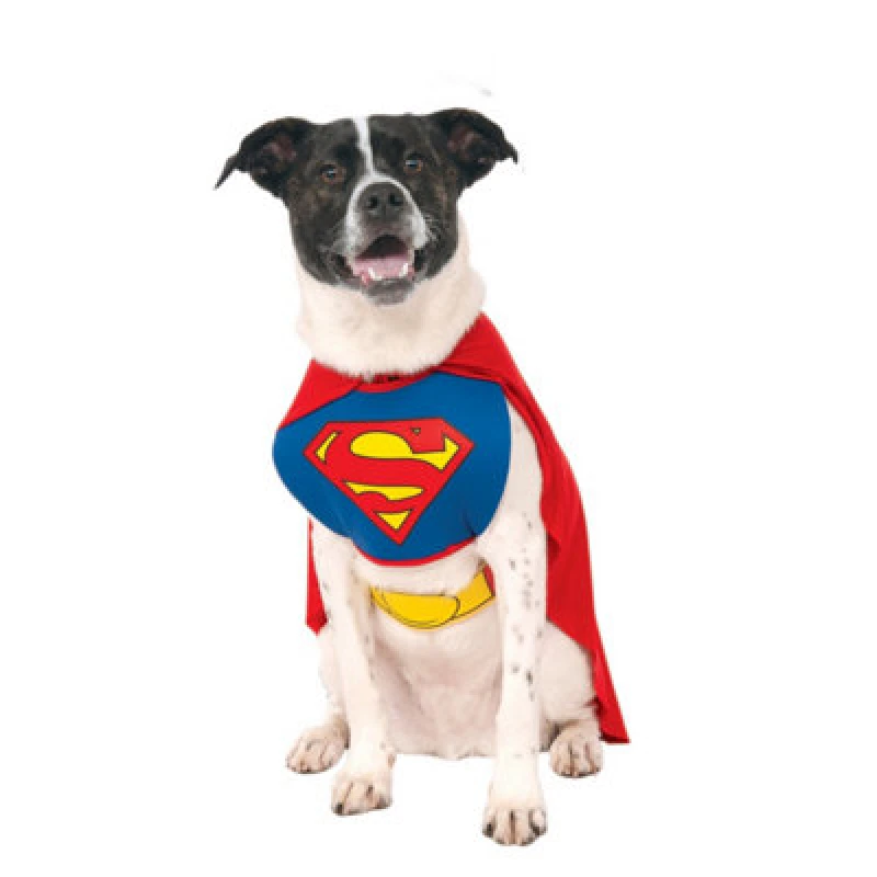 Image of Superman Dog Costume Light Red unisex