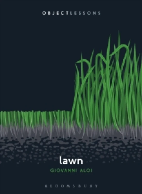 Image of Lawn Paperback / softback