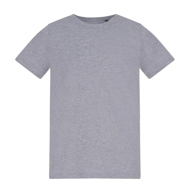 Image of Awdis RW11091 boys's Children's T shirt in Grey