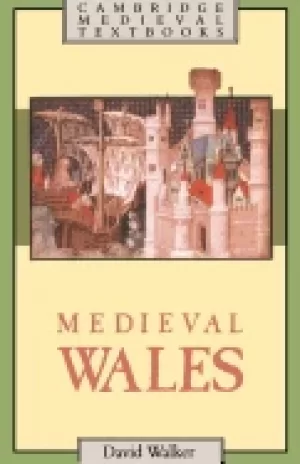Image of medieval wales