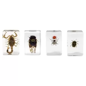 image of Celestron 3D Bug Specimen Kit No. 4