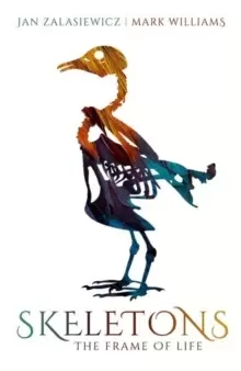 Image of Skeletons : The Frame of Life