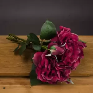 Image of Red Short Stem Rose Bouquet