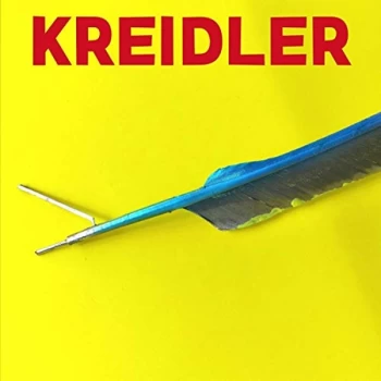 image of Kreidler - Lp-Kreidler-Flood -Lp Vinyl