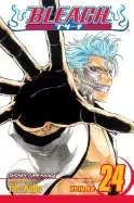 Image of bleach vol 24