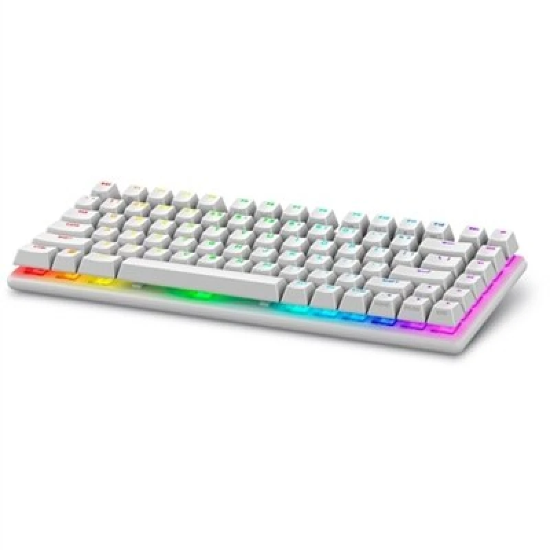 Image of Dell Alienware Pro Wireless Gaming keyboard USB + RF Wireless + Bluetooth White PRO-KB-W-WW