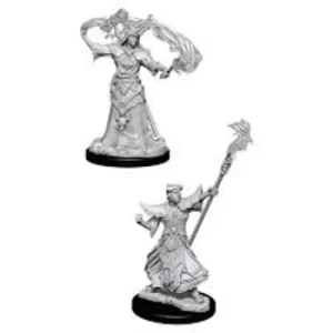 Image of Pathfinder Battles Deep Cuts Unpainted Miniatures (W11) Male Human Sorcerer
