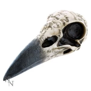 image of Edgars Raven Skull 21cm