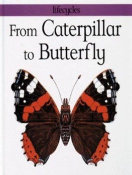 Image of From Caterpillar to Butterfly by Gerald Legg and Carolyn Franklin and David Salariya Hardback
