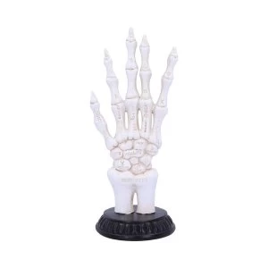 image of Skeletal Palmistry Skeleton Hand Figurine