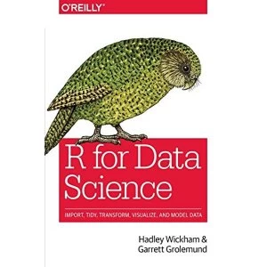 Image of R for Data Science: Import, Tidy, Transform, Visualize, and Model Data by Garrett Grolemund, Hadley Wickham (Paperback, 2017)