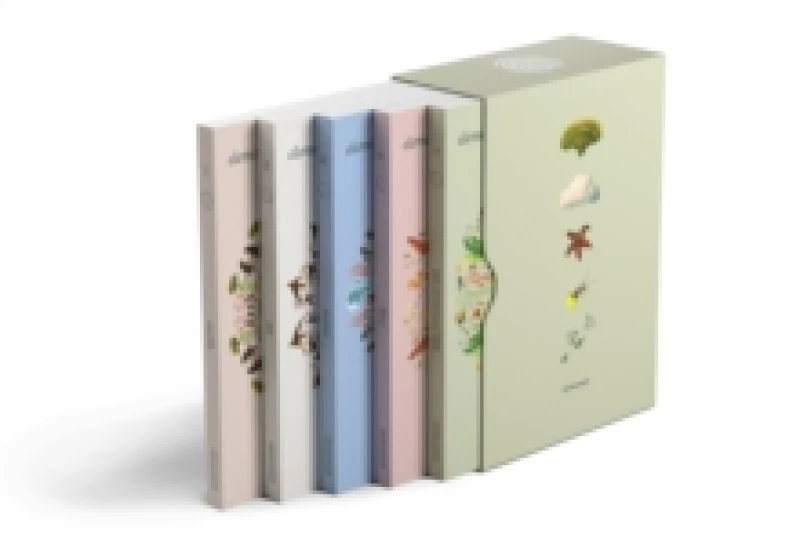 Image of Elementals: 5-Volume Set Paperback / softback