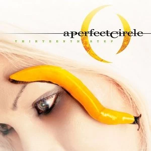 image of A Perfect Circle - Thirteenth Step CD