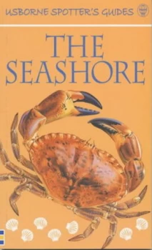 Image of Spotters Guide to the Seashore by Su Swallow Paperback
