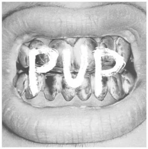 image of Pup by PUP CD Album