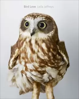 Image of Bird love by Leila Jeffreys