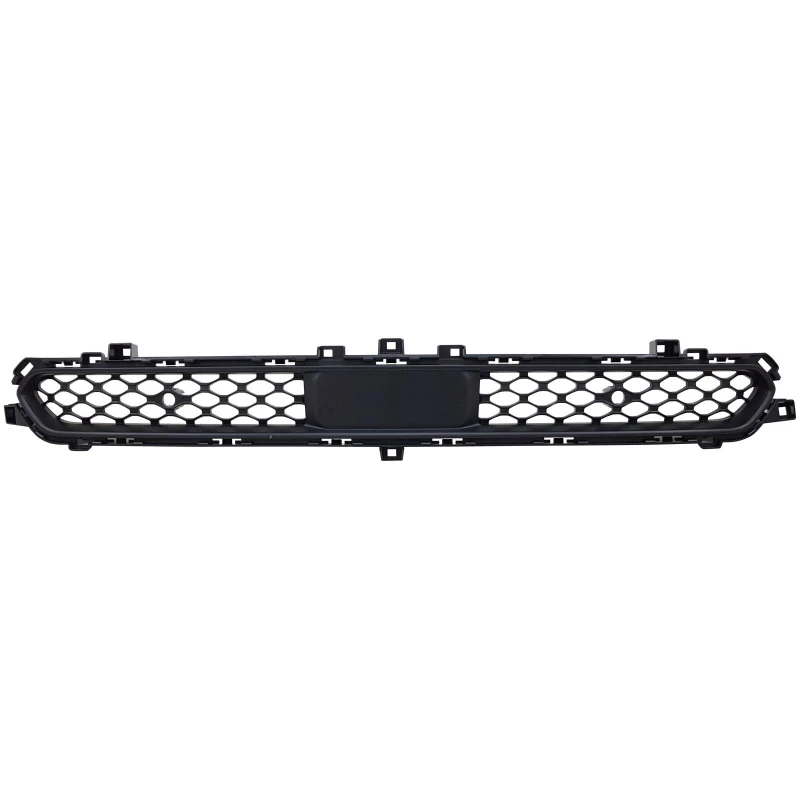 Image of Radiator Grille DIEDERICHS 2680145