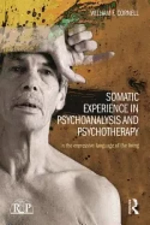 Image of somatic experience in psychoanalysis and psychotherapy in the expressive la