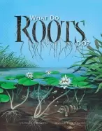Image of what do roots do