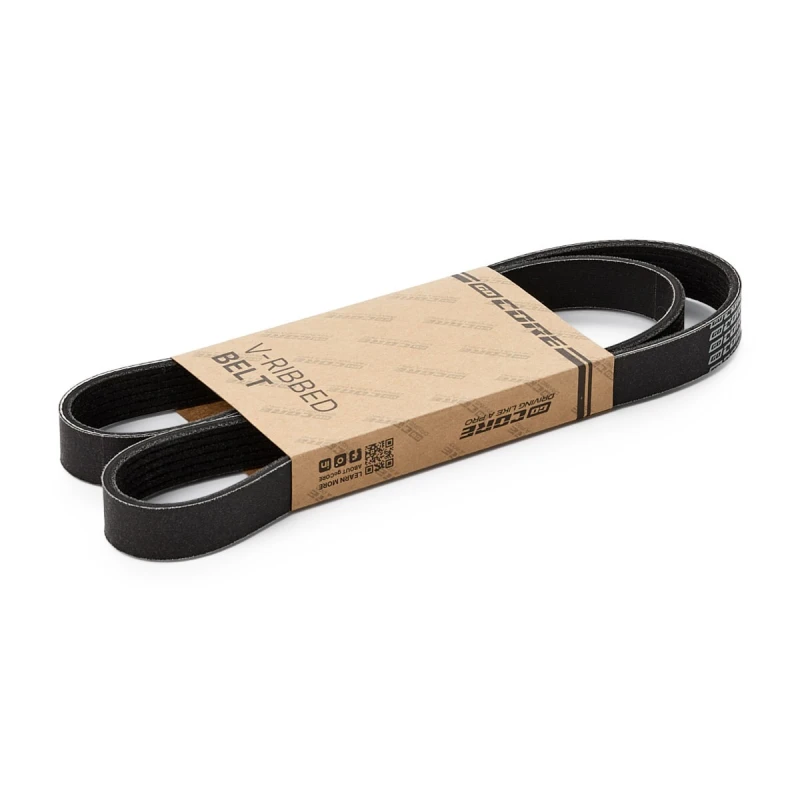 Image of goCORE GCC050029 V-ribbed belt V-Ribbed Belts (305)