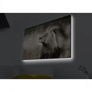 Image of 4570MDACT-038 Multicolor Decorative LED Lighted Canvas Painting