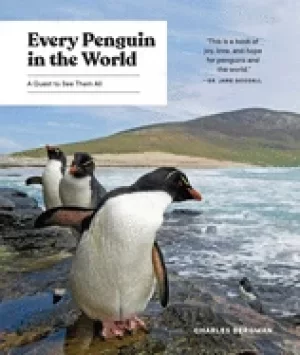 Image of every penguin in the world a quest to see them all