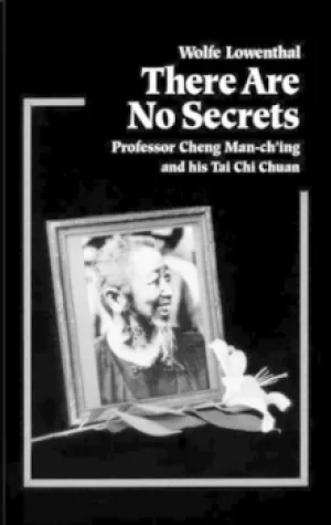 Image of There are no secrets by Wolfe Lowenthal