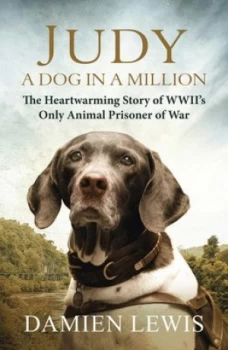 Image of A Ships Dog Named Judy by Damien Lewis Paperback
