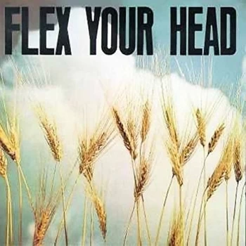 Image of V/A Indie Rock - Flex Your Head Vinyl