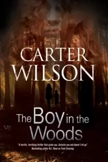 Image of The Boy in the Woods