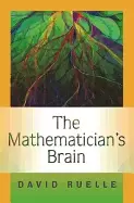 Image of mathematicians brain a personal tour through the essentials of mathematics