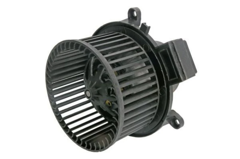 Image of THERMOTEC Blower motor THERMOTEC DDY003TT