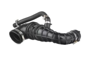 Image of RIDEX Intake Pipe, air filter FORD 1591I0005 1133898,1M519R504AB